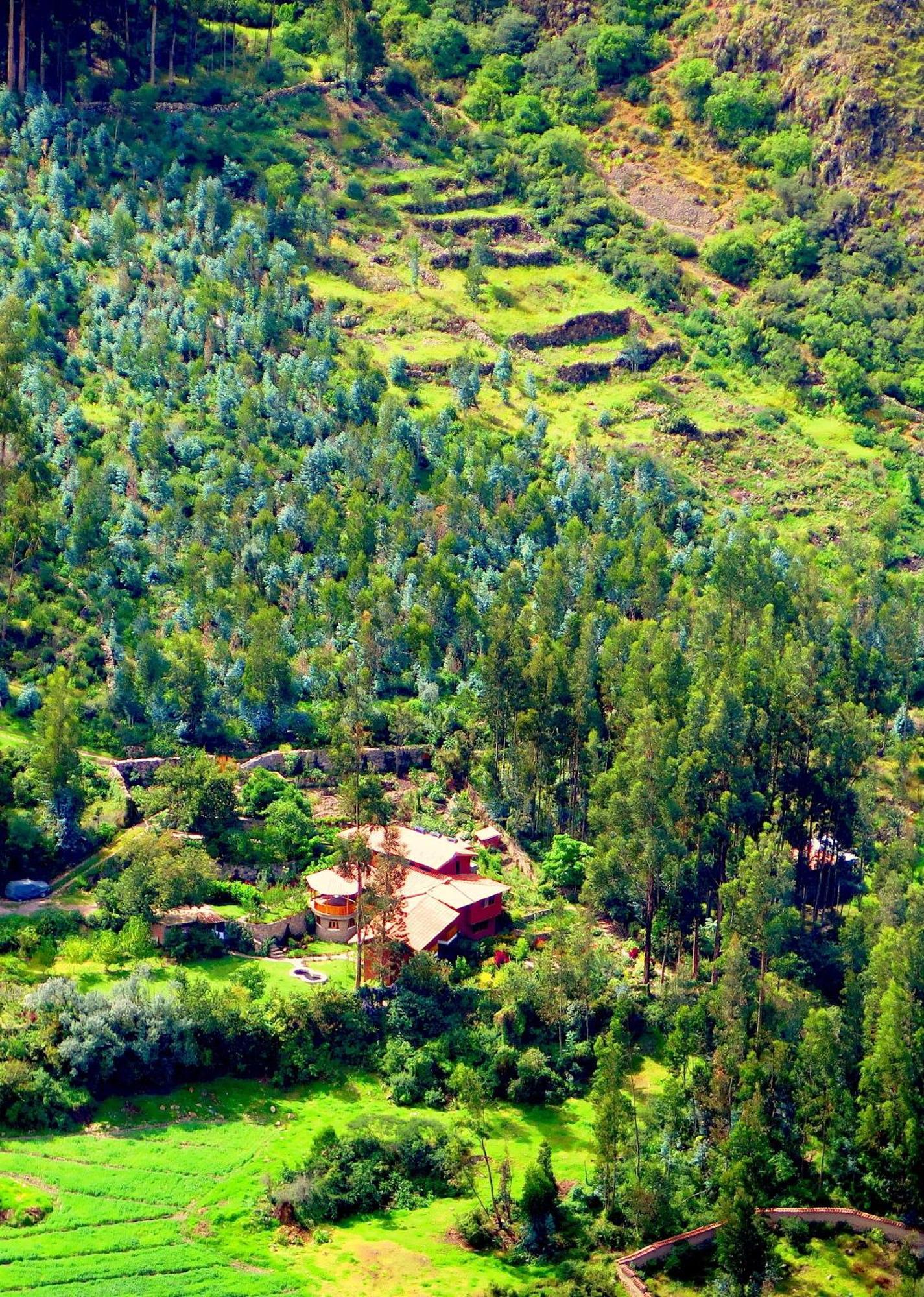 Birds Hotel Molino Ollantaytambo Exteriér fotografie