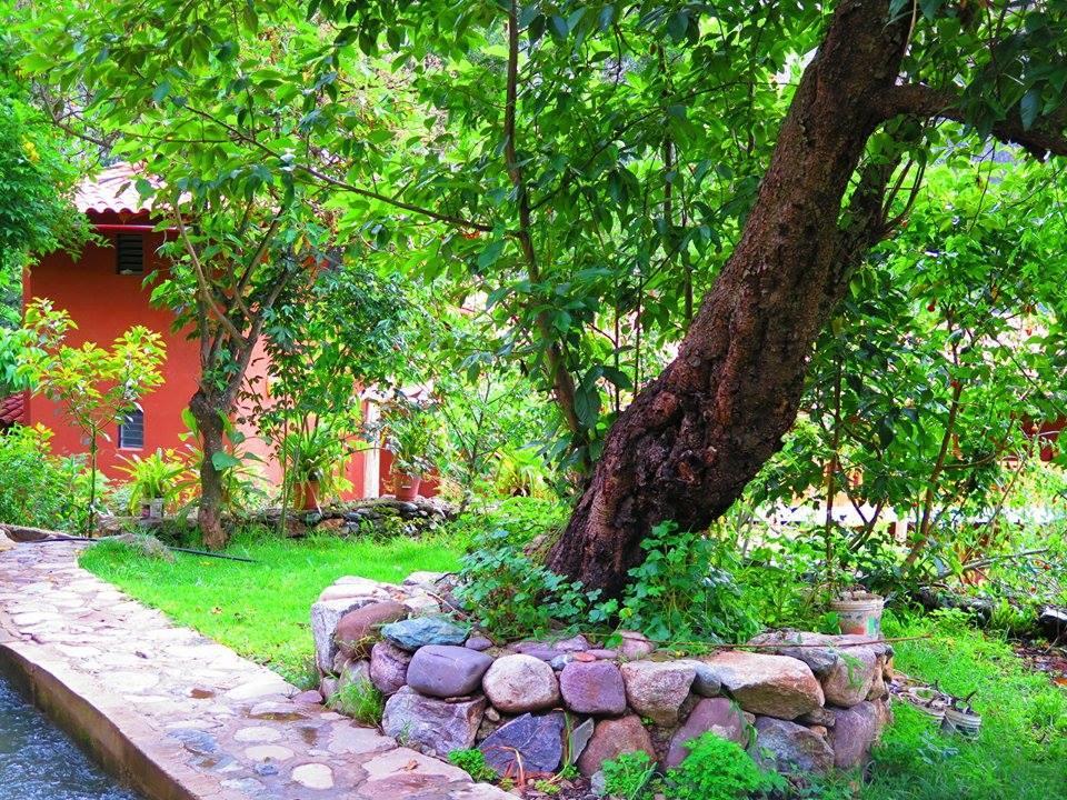 Birds Hotel Molino Ollantaytambo Exteriér fotografie